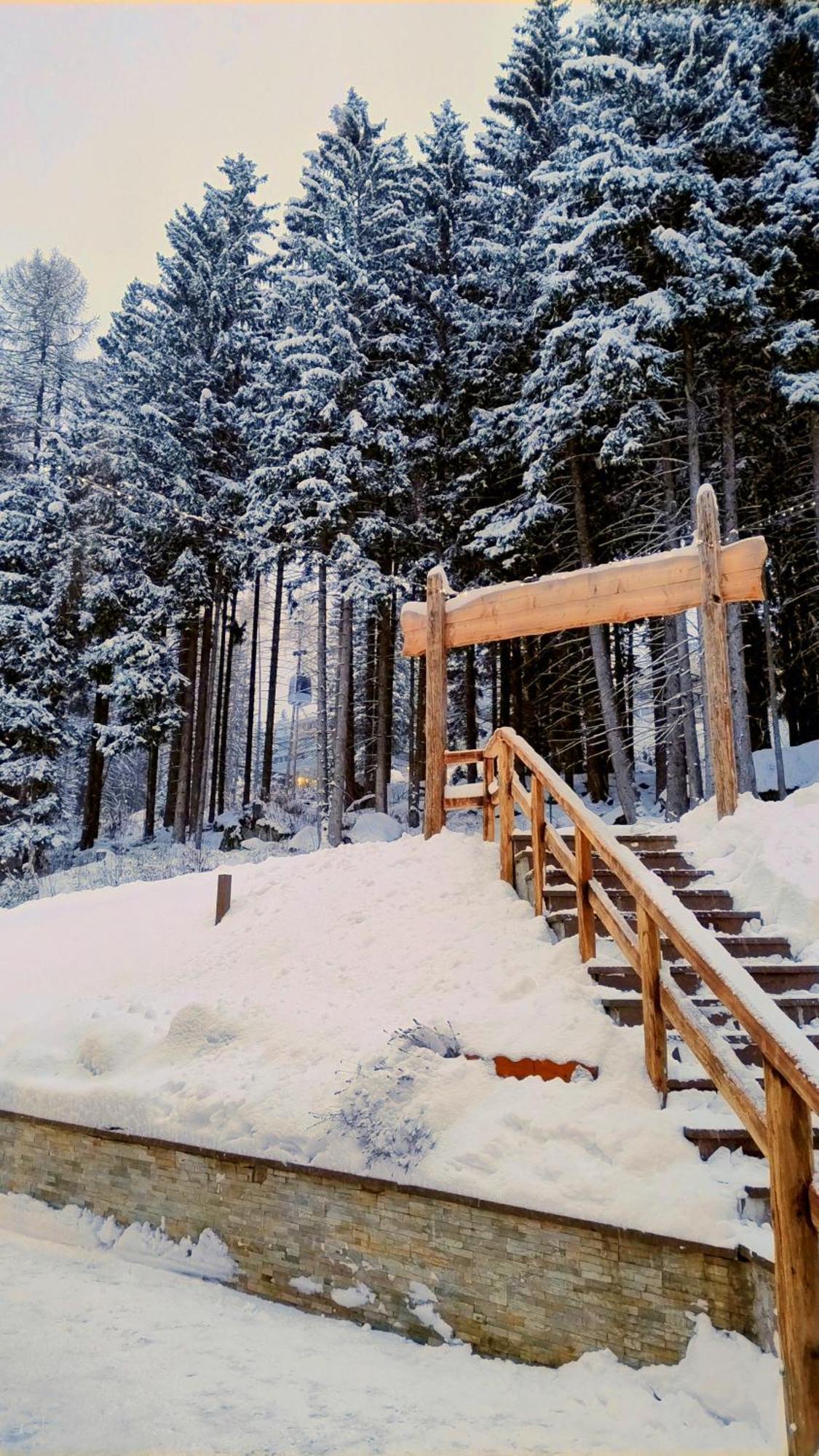 Ale 1206, Marilleva 1400 Accesso Diretto Alle Piste Dış mekan fotoğraf