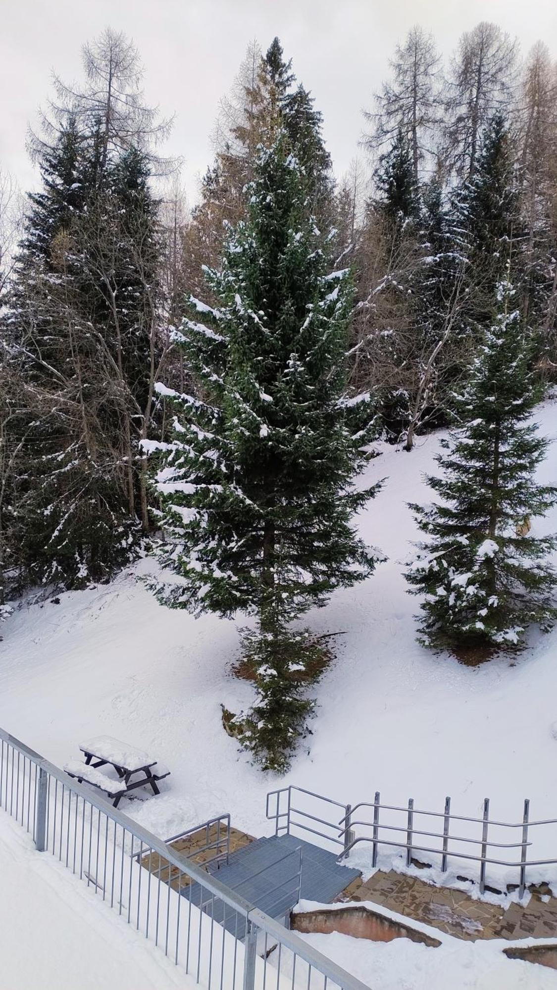 Ale 1206, Marilleva 1400 Accesso Diretto Alle Piste Dış mekan fotoğraf